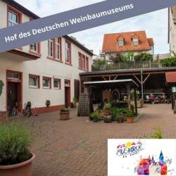 Das Deutsche Weinbaumuseum